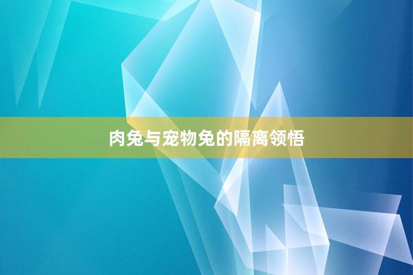 肉兔与宠物兔的隔离领悟